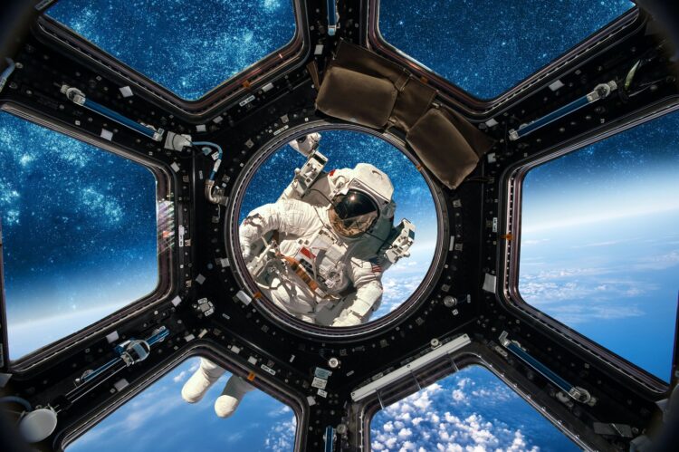 Astronaut Verdient pro Monat, Nettogehalt
