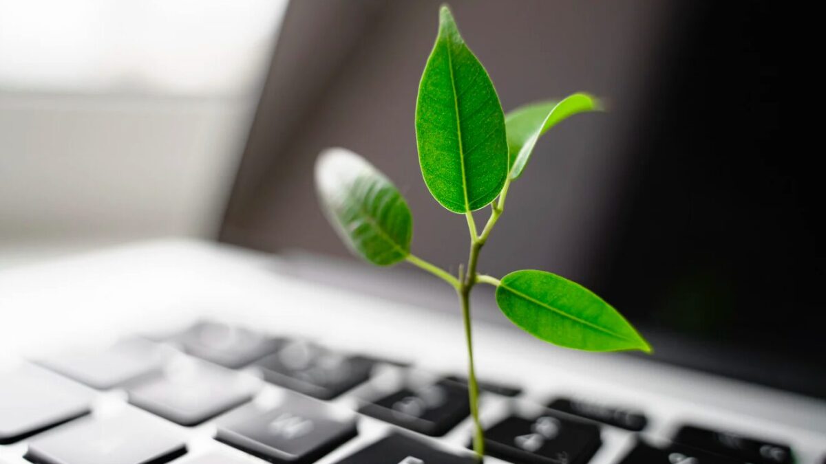 Nachhaltige Angewohnheiten, die jeder umsetzen kann