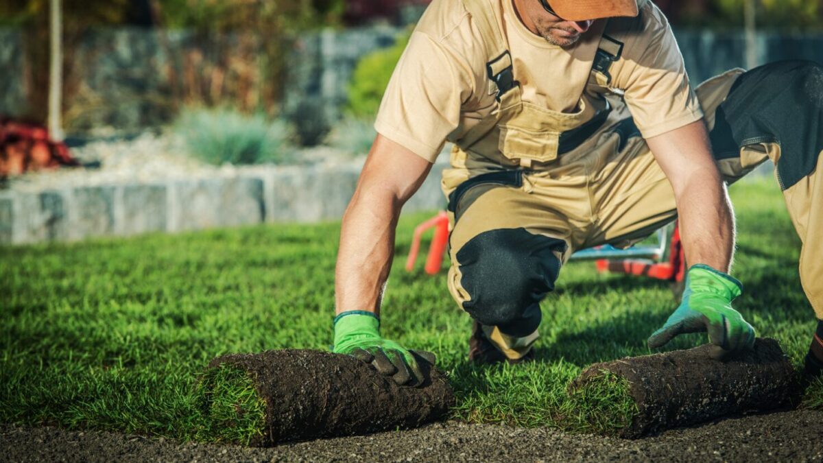 Jobs in der Natur für Quereinsteiger: Deine Chance auf einen grünen Berufsweg