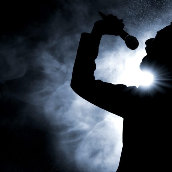 Herbert Grönemeyer Vermögen