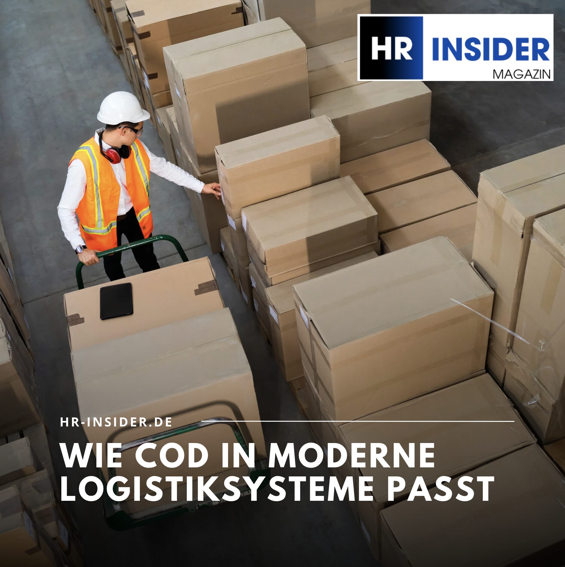 Wie COD in moderne Logistiksysteme passt