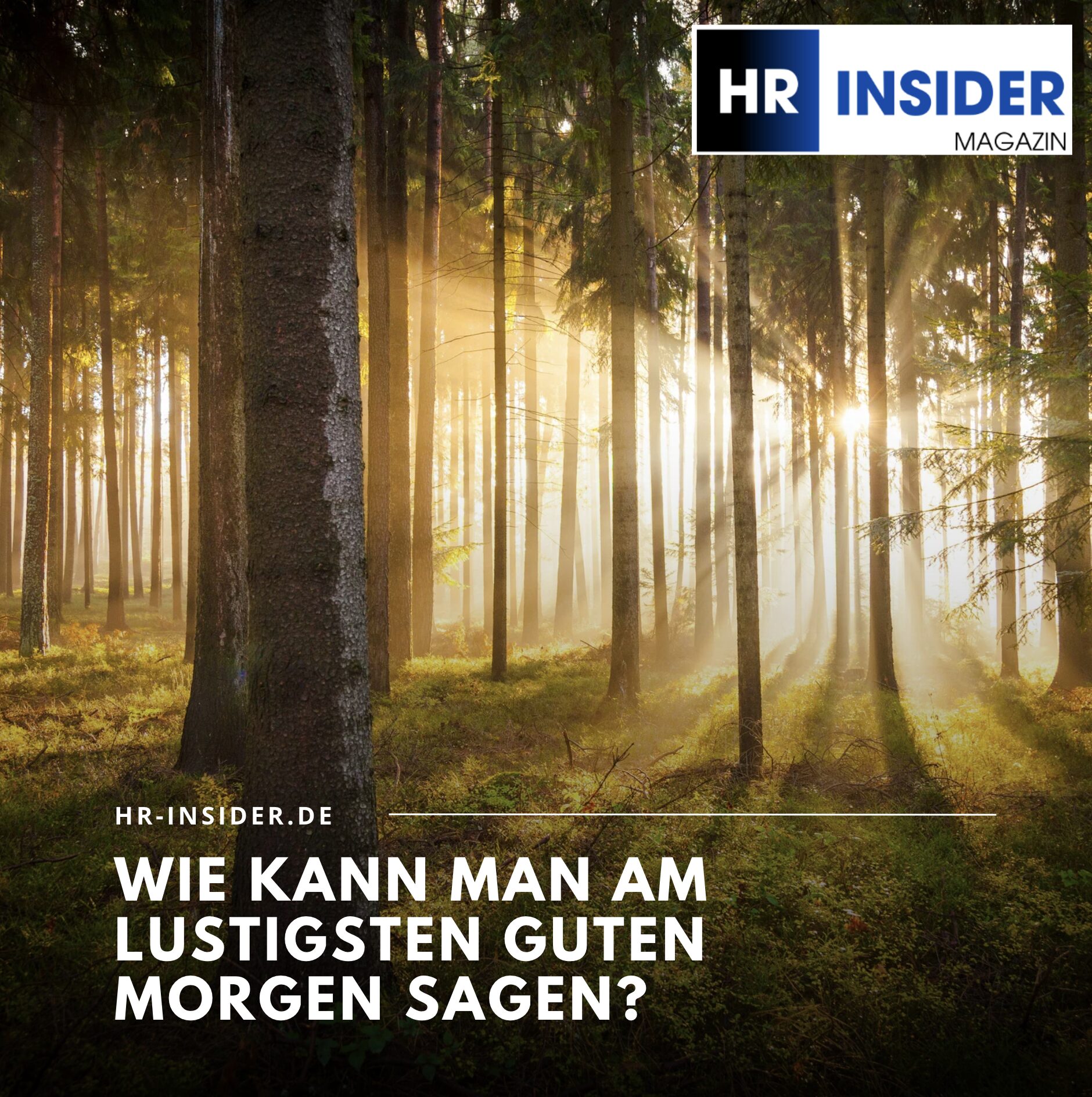 Wie kann man am lustigsten guten Morgen sagen? Wie kann man am lustigsten guten Morgen sagen?