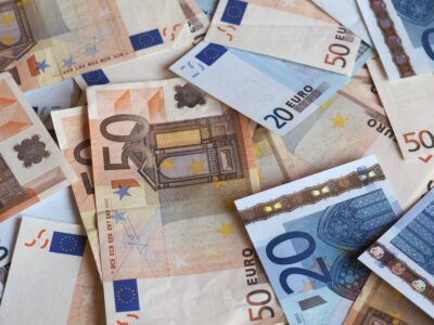 Leon Löwentraut Vermögen