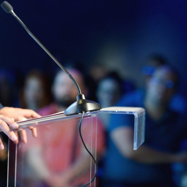 Politiker ohne Abschluss im Bundestag Omid Nouripour und andere Abgeordnete