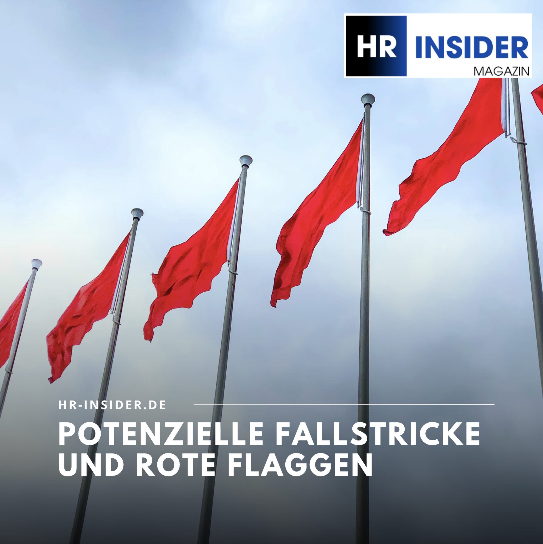 Potenzielle Fallstricke und rote Flaggen Potenzielle Fallstricke und rote Flaggen