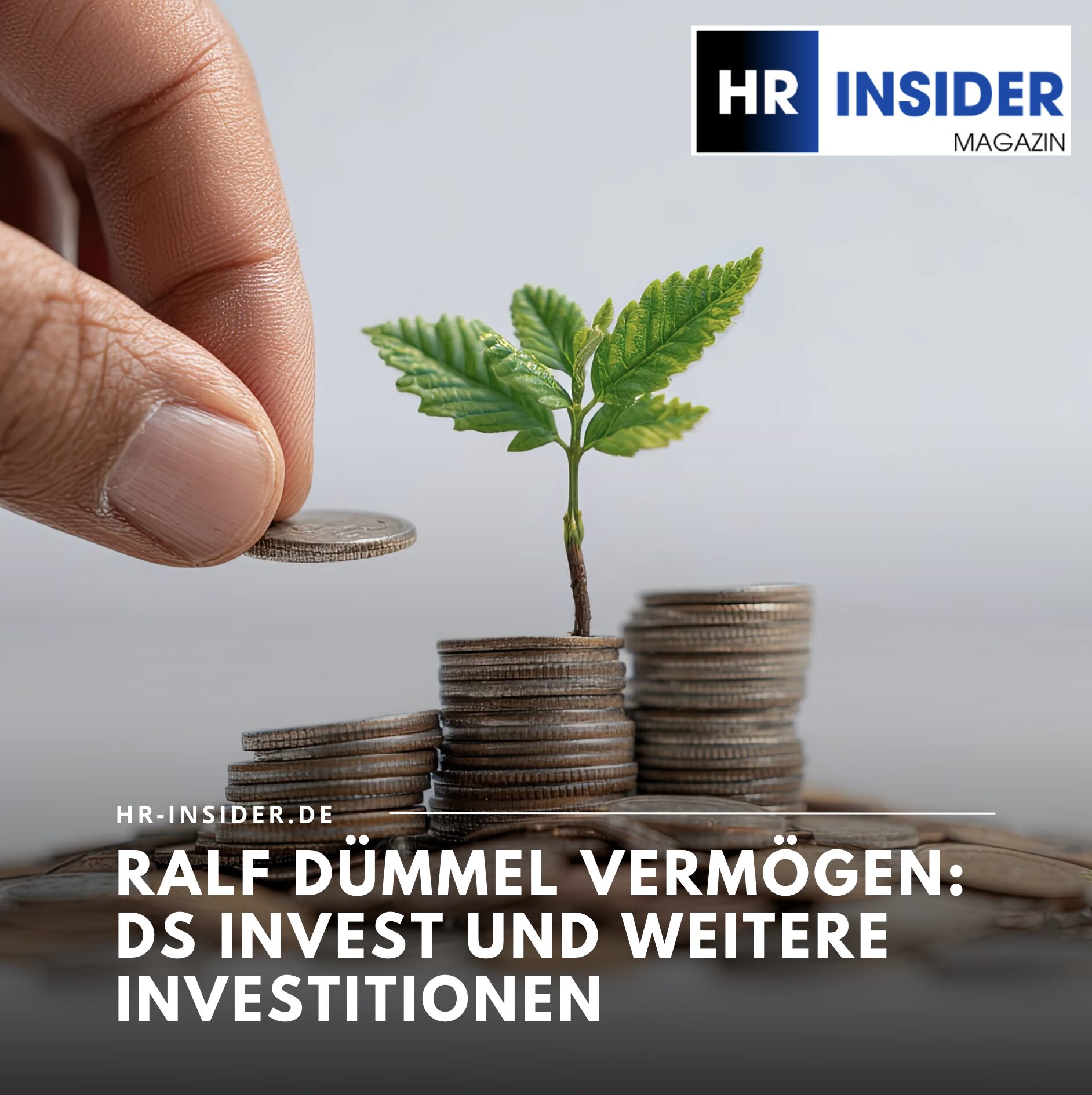 Ralf Dümmel Vermögen: DS Invest und weitere Investitionen Ralf Dümmel Vermögen: DS Invest und weitere Investitionen