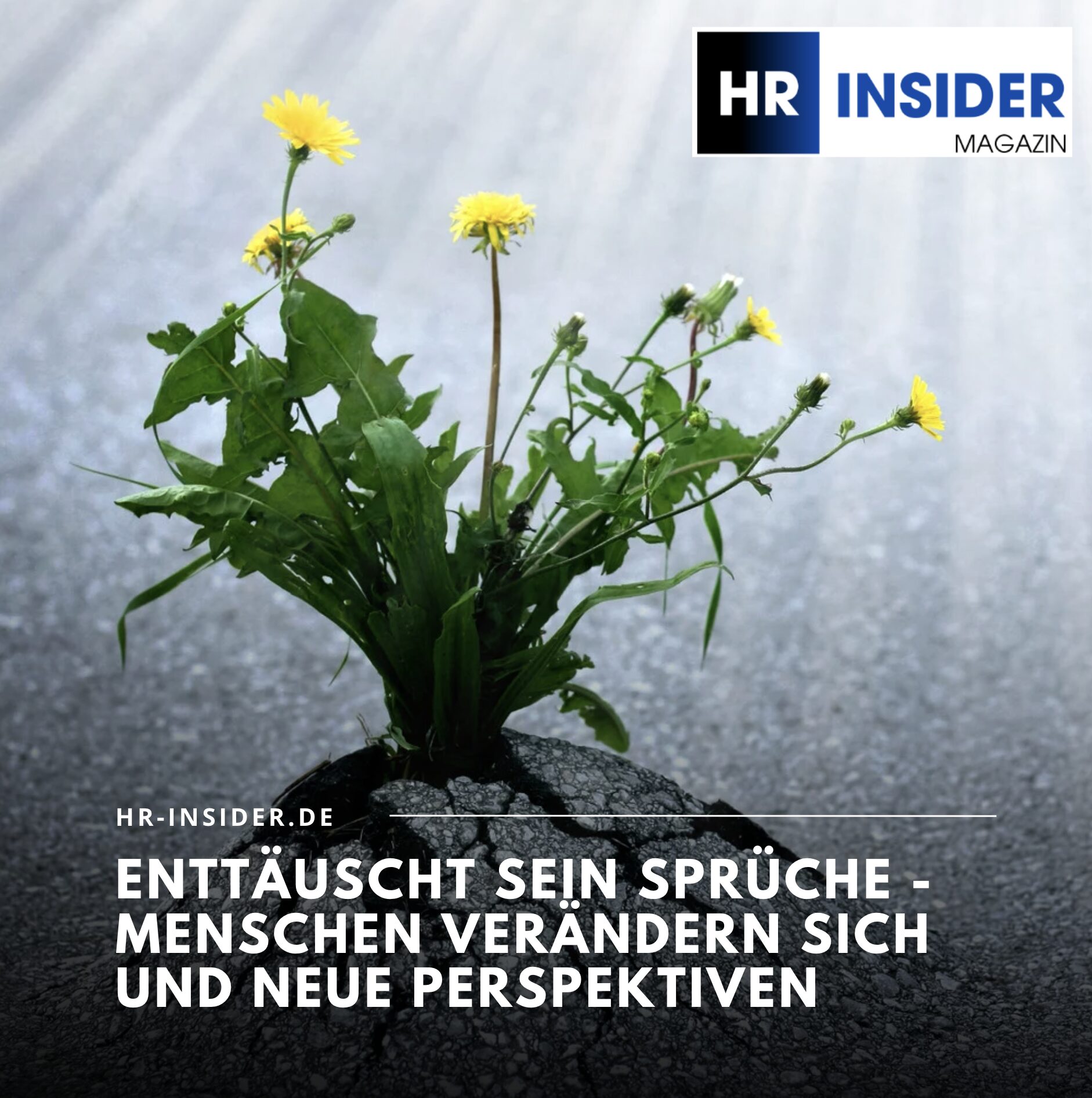 Enttäuscht sein Sprüche - Menschen verändern sich und neue Perspektiven Enttäuscht sein Sprüche - Menschen verändern sich und neue Perspektiven