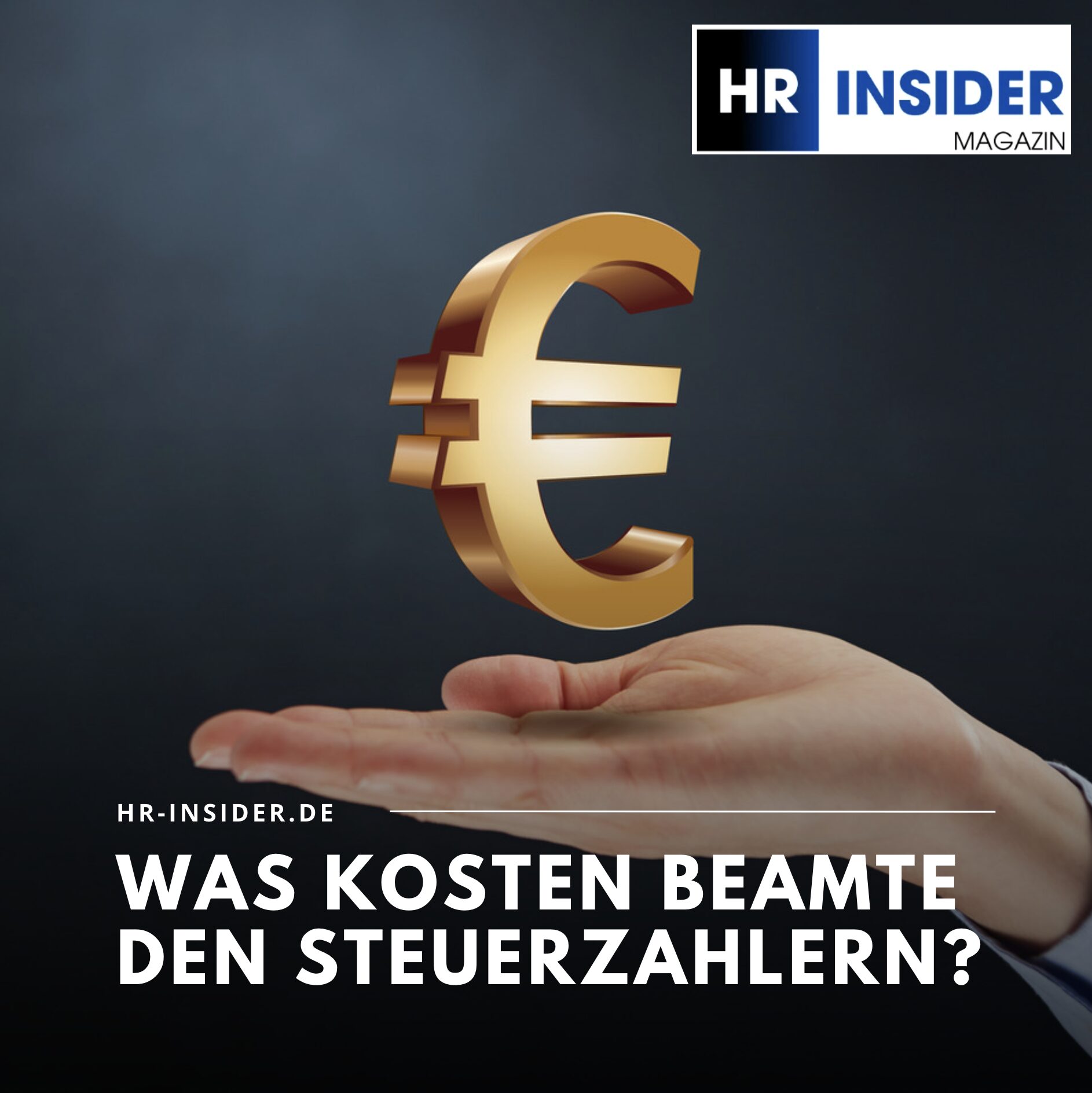 Was kosten Beamte den Steuerzahlern? Was kosten Beamte den Steuerzahlern?