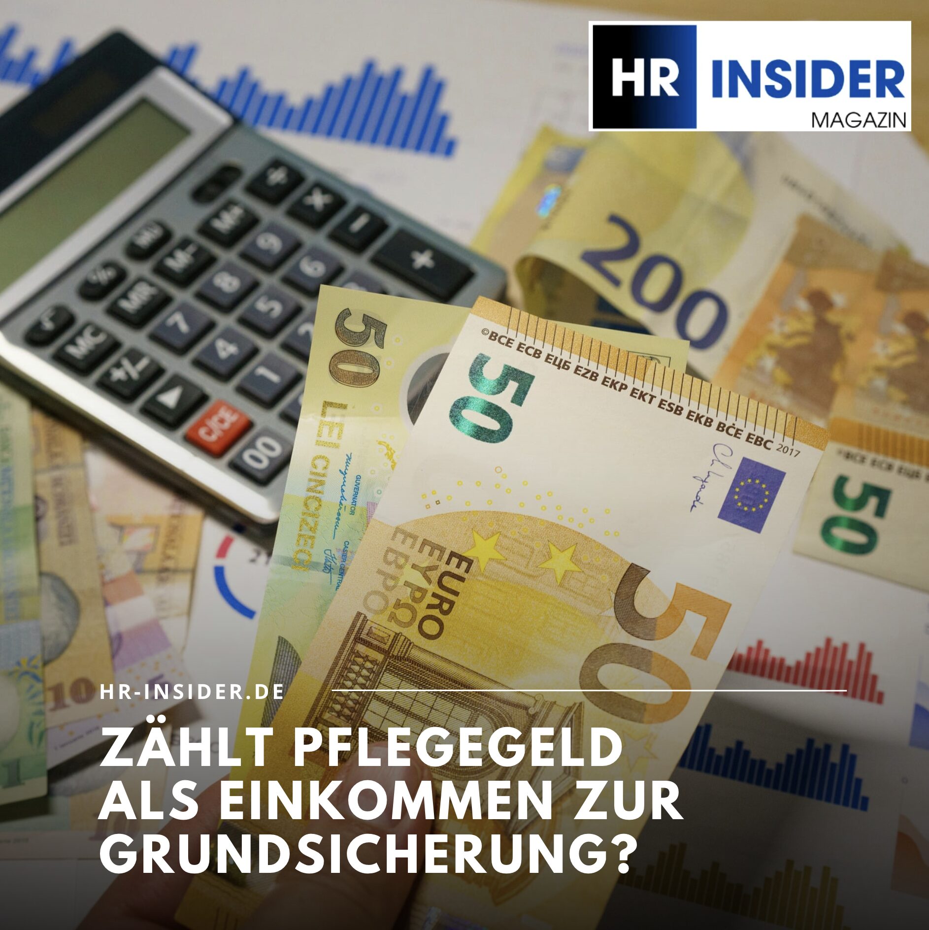 Zählt Pflegegeld als Einkommen zur Grundsicherung? Zählt Pflegegeld als Einkommen zur Grundsicherung?